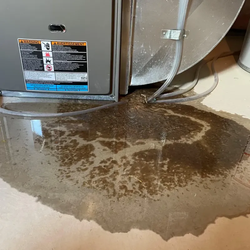 Appliance Leak Cleanup in Bardwell, KY